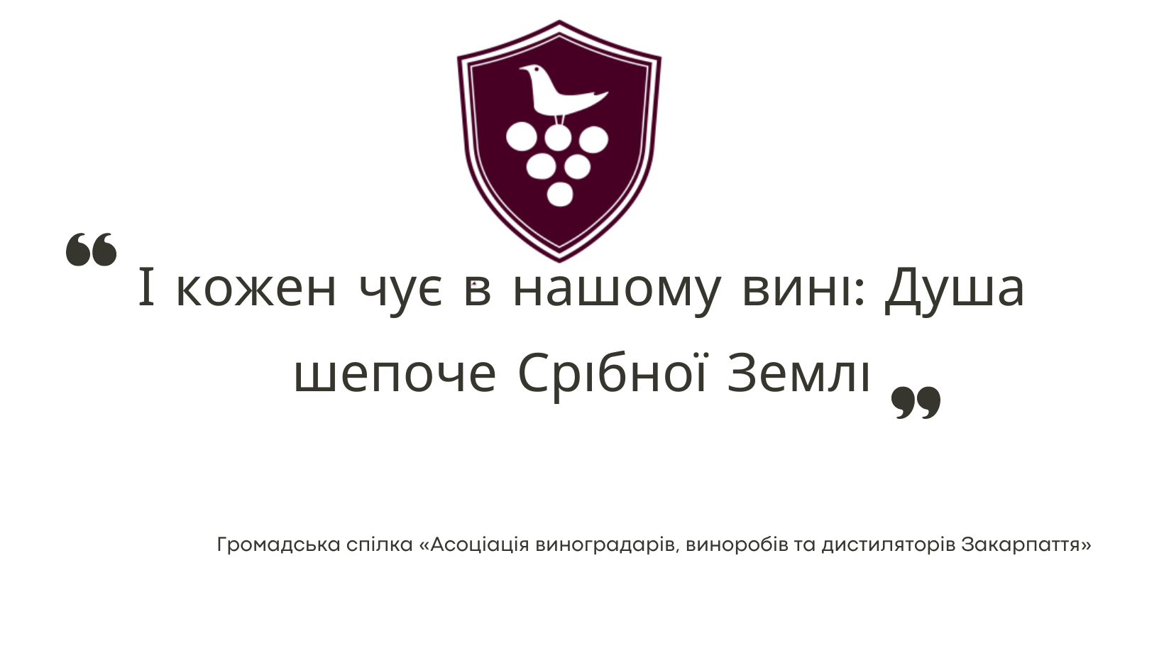 Вина Срібної Землі - 2026: міжнародні експерти визначили найкращі вина Закарпаття